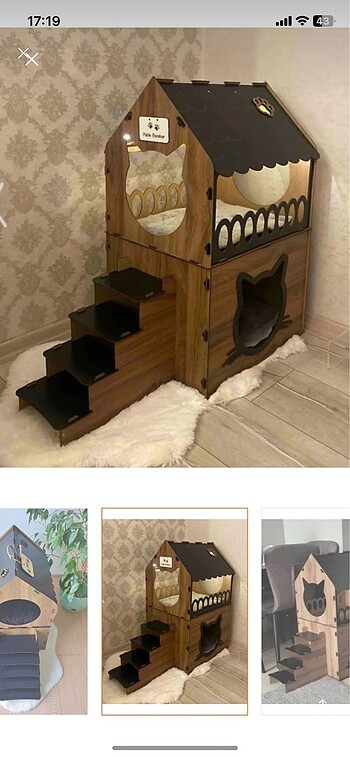 Kedi Evi
