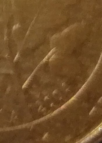 Parlak 1 sterlin 2004 tarihli - Görsel 3