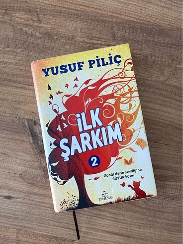 ilk şarkım 2 kitabı