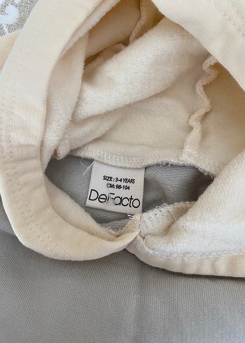 Gri Kapüşonlu ve Fermuarlı Erkek Eşofman Takımı - Görsel 4