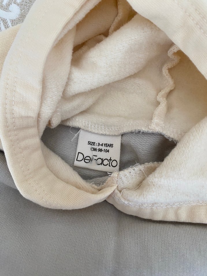 Gri Kapüşonlu ve Fermuarlı Erkek Eşofman Takımı - Görsel 4