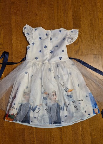 Elsa Elbise Kıyafet - Görsel 4