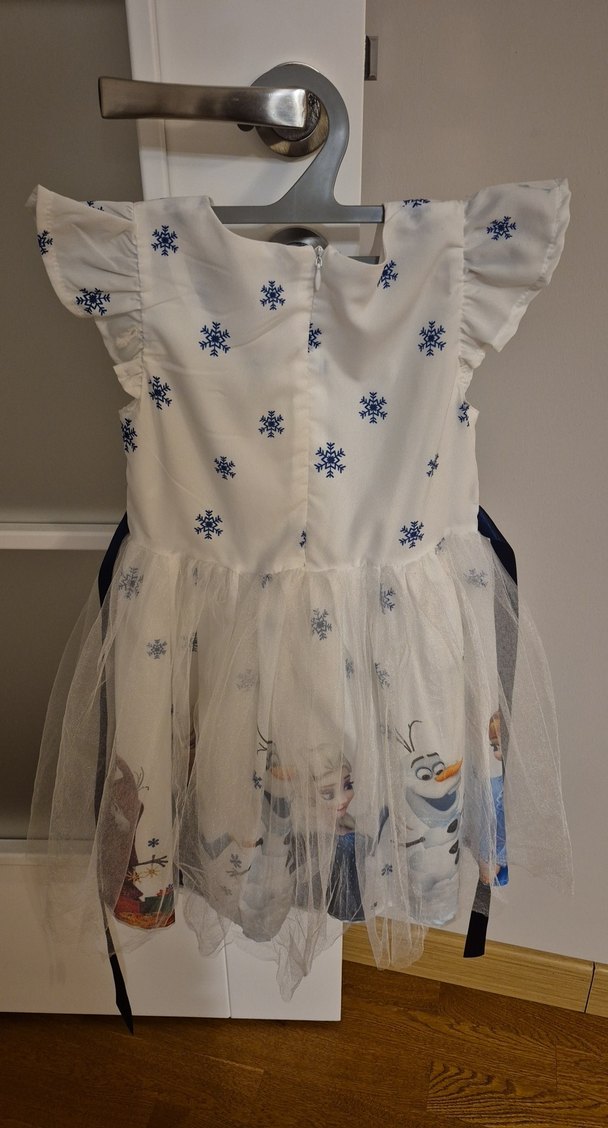 Elsa Elbise Kıyafet - Görsel 2