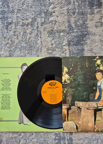 Seracettin Erman - Tahta Masa Plak - Görsel 2