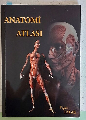 Anatomi atlası 