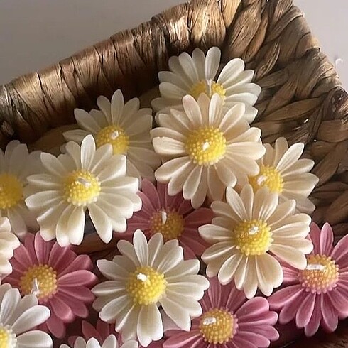 Papatya Mum