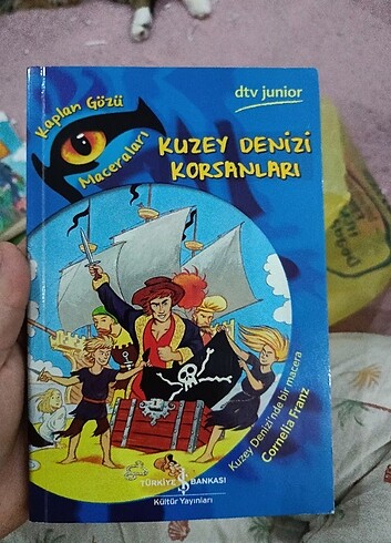 Kuzey Denizi korsanları