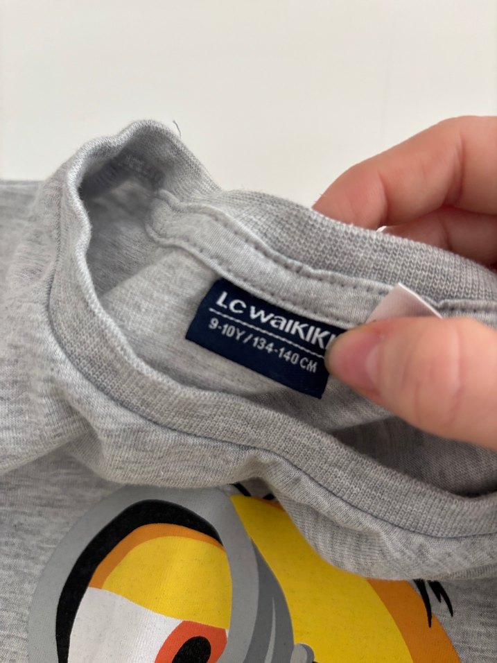 Pamuklu Erkek Çocuk Gri Minyon Baskılı Sweatshirt - Görsel 3