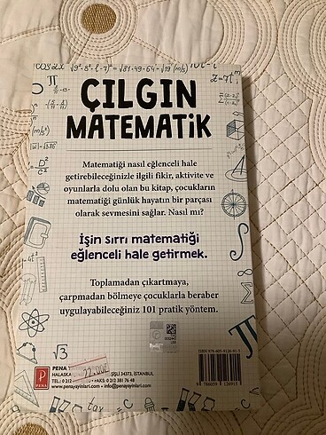 Çılgın Matematik