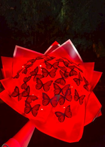 Kelebek buketi - Görsel 3