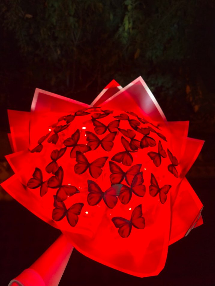 Kelebek buketi - Görsel 3