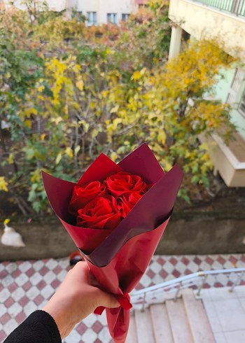 Koyu Kırmızı güller - Görsel 4