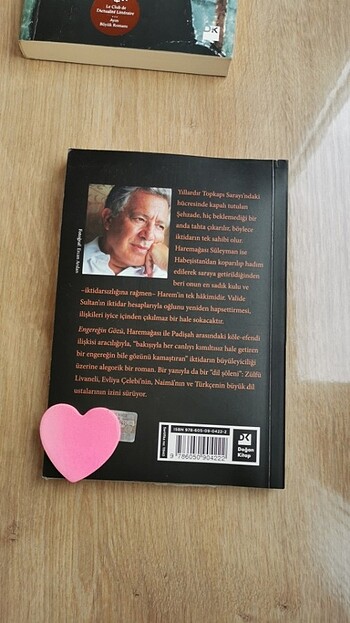  ZÜLFÜ LİVANELİ ENGEREĞİN GÖZÜ