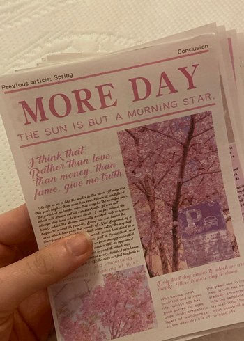 Coquette pembe mini posterler - Görsel 4