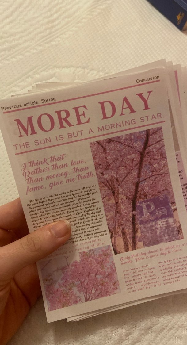 Coquette pembe mini posterler - Görsel 4