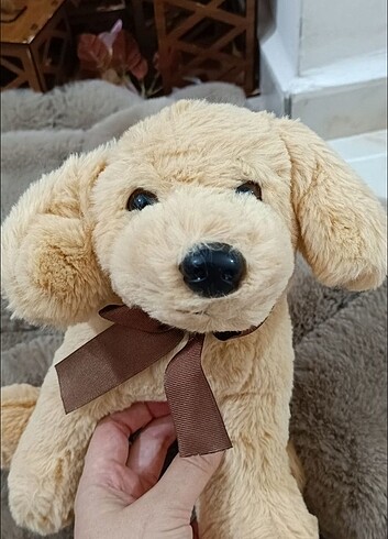 Beden Havlayan peluş köpüş