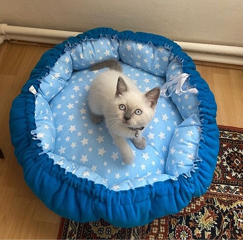  Beden Çift Yüzlü Kedi Yatağı