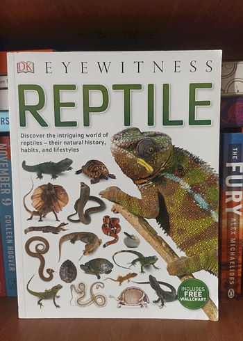 Reptile - Doğal Tarih ve Yaşam Surungenler Ingilizce Dk Book