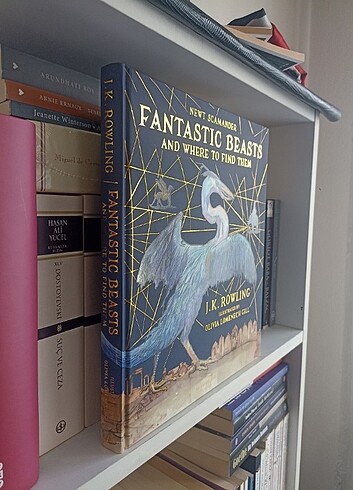 Beden Harry Potter Fantastik Canavarlar Nelerdir Illustrated Edition