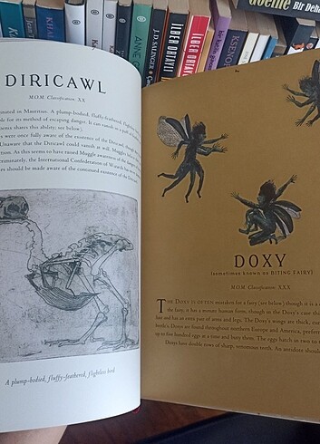 Harry Potter Fantastik Canavarlar Nelerdir Illustrated Edition - Görsel 7