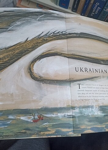 Harry Potter Fantastik Canavarlar Nelerdir Illustrated Edition - Görsel 9