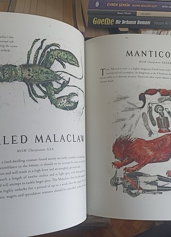 Harry Potter Fantastik Canavarlar Nelerdir Illustrated Edition - Görsel 11