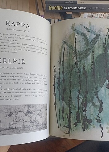 Harry Potter Fantastik Canavarlar Nelerdir Illustrated Edition - Görsel 12