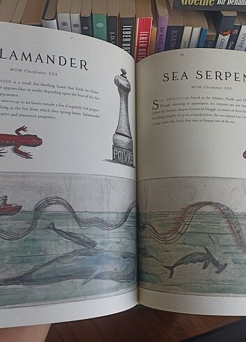 Harry Potter Fantastik Canavarlar Nelerdir Illustrated Edition - Görsel 13