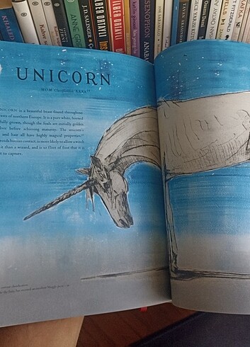 Harry Potter Fantastik Canavarlar Nelerdir Illustrated Edition - Görsel 4