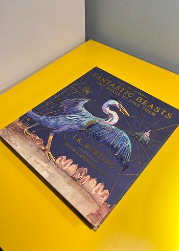 Harry Potter Fantastik Canavarlar Nelerdir Illustrated Edition - Görsel 2