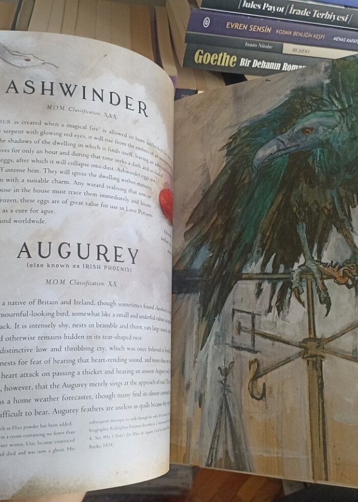 Harry Potter Fantastik Canavarlar Nelerdir Illustrated Edition - Görsel 5