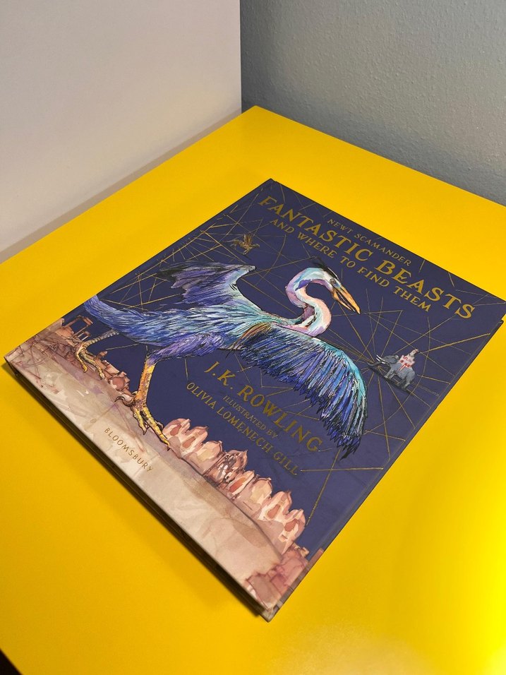 Harry Potter Fantastik Canavarlar Nelerdir Illustrated Edition - Görsel 2