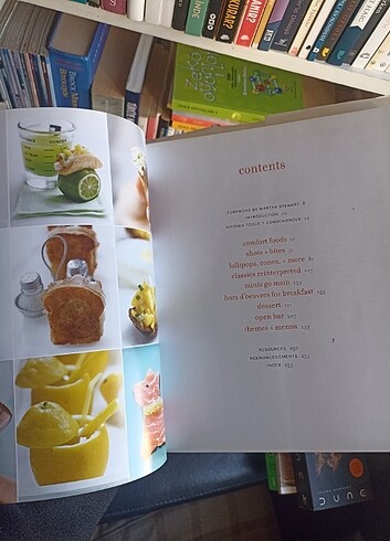 Beden Renk Bite by Bite , Yemek Tarif Yiyecek Ingilizce Kitap