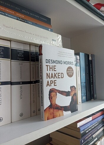 Desmond Morris - The Naked Ape , Ingilizce , Bilim , Science , - Görsel 3