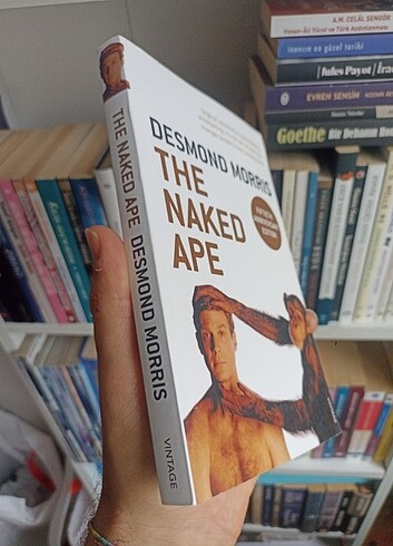 Desmond Morris - The Naked Ape , Ingilizce , Bilim , Science , - Görsel 4