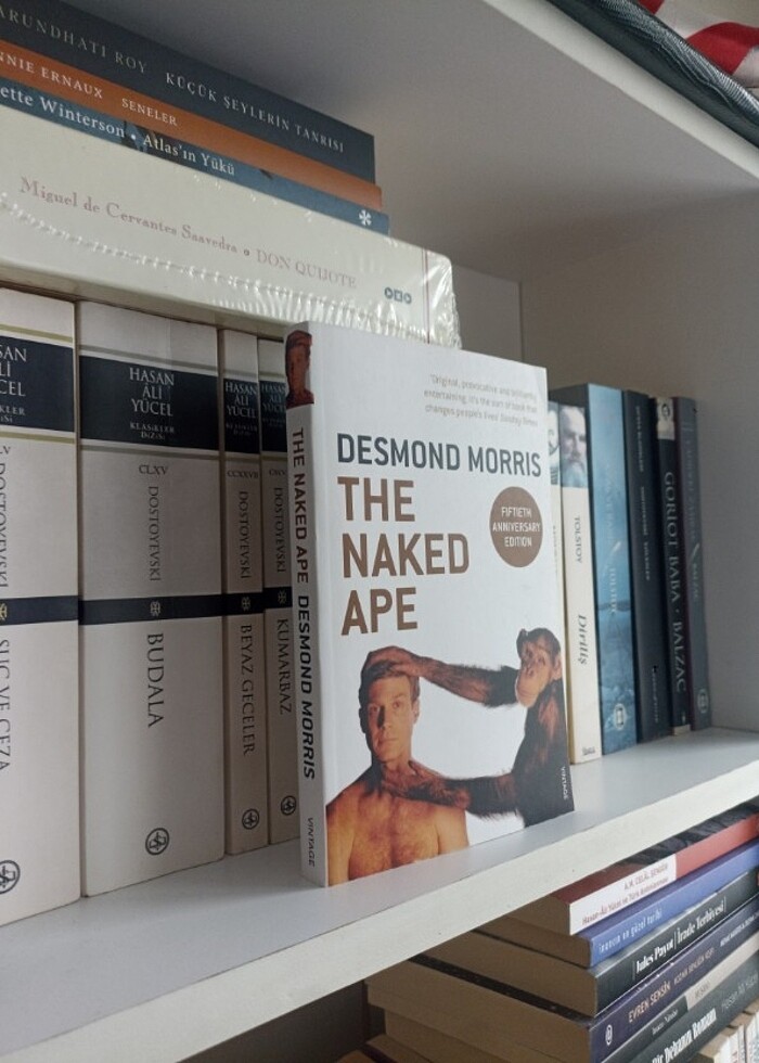 Desmond Morris - The Naked Ape , Ingilizce , Bilim , Science , - Görsel 3