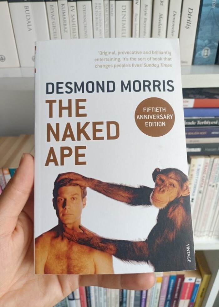 Desmond Morris - The Naked Ape , Ingilizce , Bilim , Science , - Görsel 5