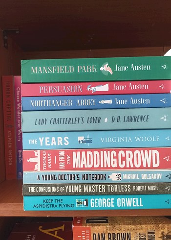 Ingilizce Klasik Kitap Alma Books Classic Roman Kitap - Görsel 2