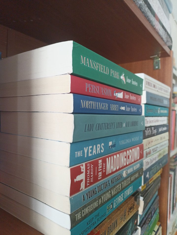 Ingilizce Klasik Kitap Alma Books Classic Roman Kitap - Görsel 5