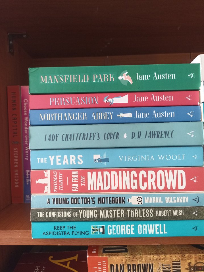 Ingilizce Klasik Kitap Alma Books Classic Roman Kitap - Görsel 2