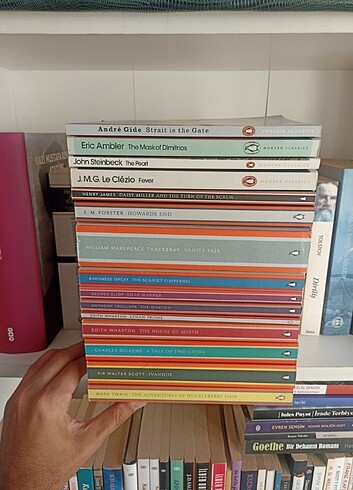 Penguin Classics Ingilizce Penguin Klasik Roman Kitap