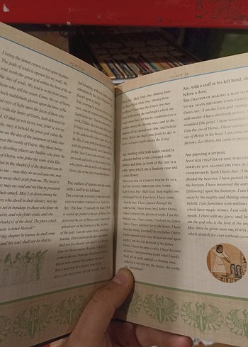 Mısır Ölüler Kitabı İngilizce Özel Baski - Görsel 3