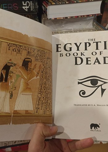 Mısır Ölüler Kitabı İngilizce Özel Baski - Görsel 4