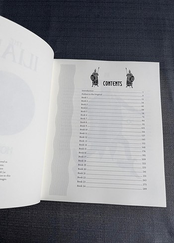 İlyada ve Odysseia Homeros İngilizce Klasik Cilt Kitap - Görsel 10