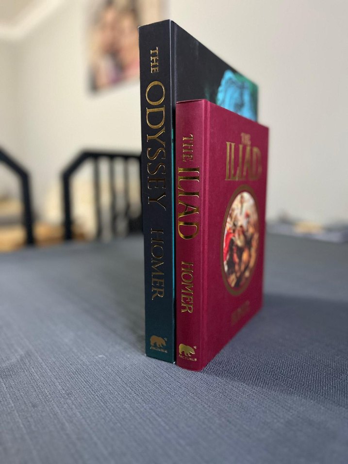 İlyada ve Odysseia Homeros İngilizce Klasik Cilt Kitap - Görsel 5