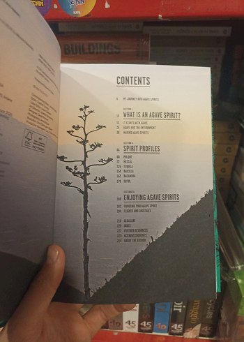 Tequila, Mezcal İçecek Tarif Meksika içecekleri İngilizce - Görsel 5