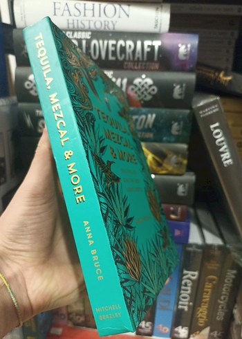 Tequila, Mezcal İçecek Tarif Meksika içecekleri İngilizce - Görsel 3