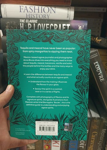 Tequila, Mezcal İçecek Tarif Meksika içecekleri İngilizce - Görsel 4