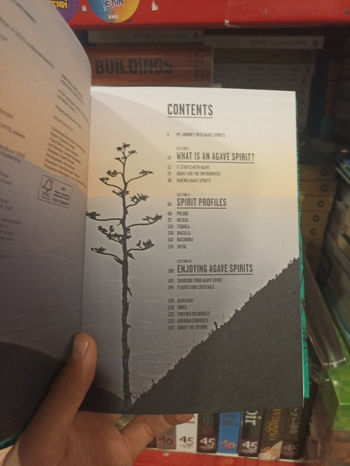 Tequila, Mezcal İçecek Tarif Meksika içecekleri İngilizce - Görsel 5