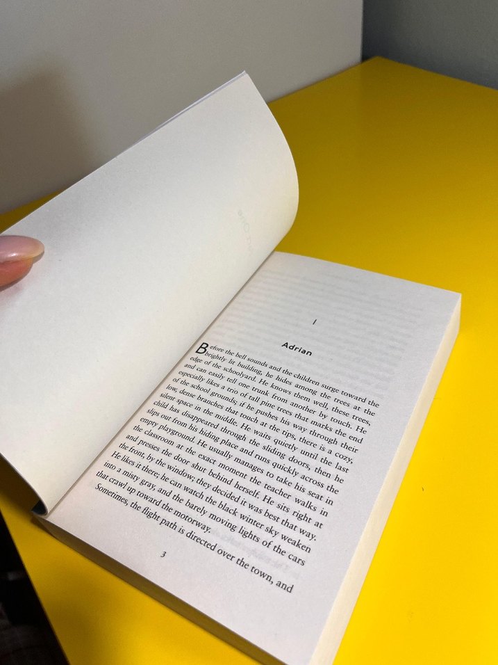 After She'd Gone - Alex Dahl İngilizce Polisiye Gerilim Kitap - Görsel 4